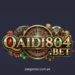 Qaidi 804 Game