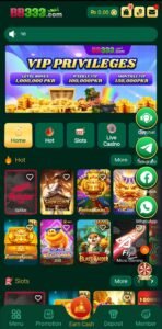 BB333 Game
